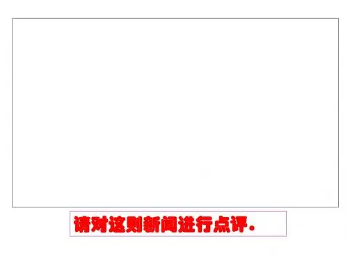 《新闻点评专题指导》优秀课件