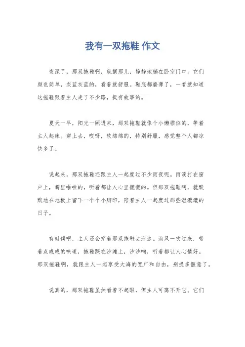 我有一双拖鞋 作文