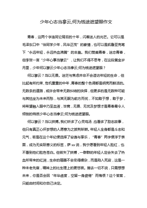 少年心志当拿云,何为钱途遮望眼作文