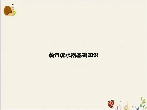 蒸汽疏水器基础知识PPT.
