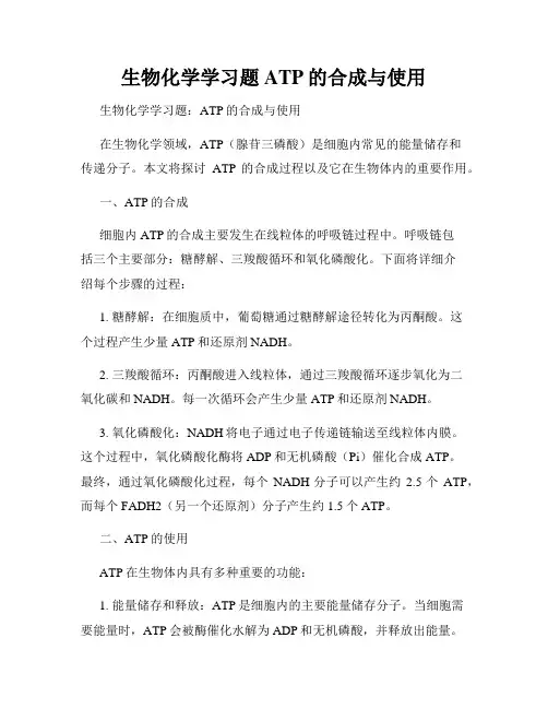 生物化学学习题ATP的合成与使用