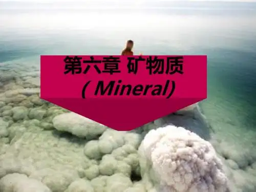 第六章矿物质-PPT课件