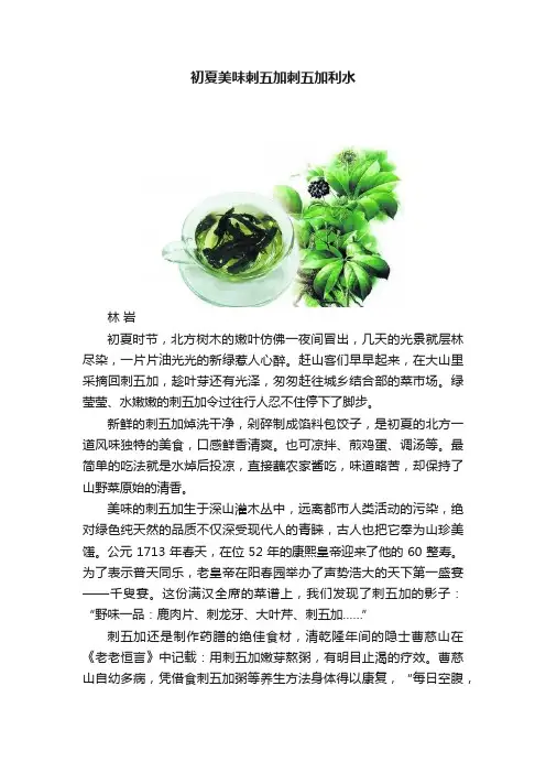 初夏美味刺五加刺五加利水