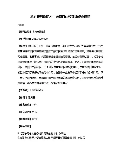 毛万春到洛阳乙二醇项目建设现场观摩调研