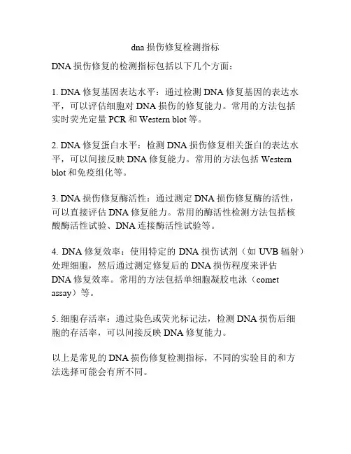 dna损伤修复检测指标
