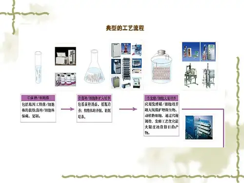 微生物细胞的破碎