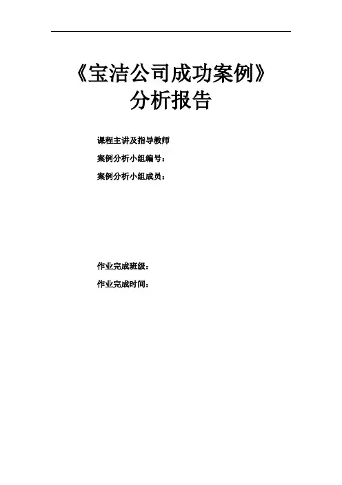 宝洁公司成功案例分析报告
