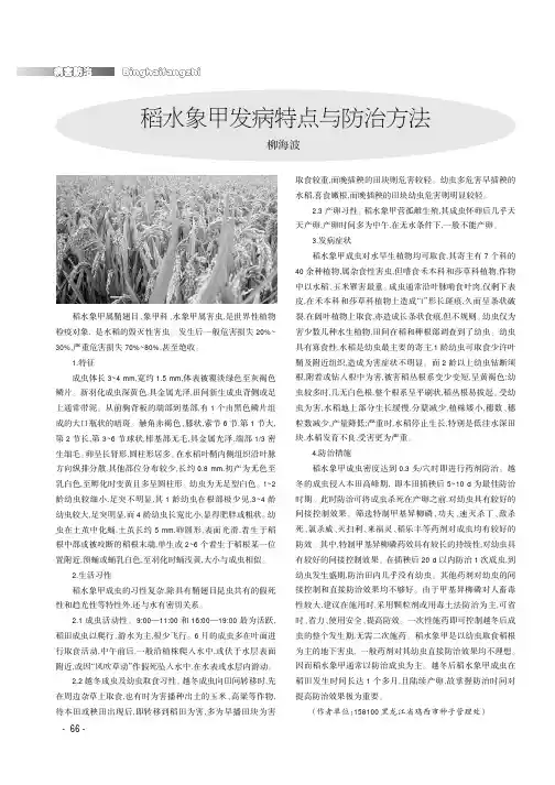 稻水象甲发病特点与防治方法