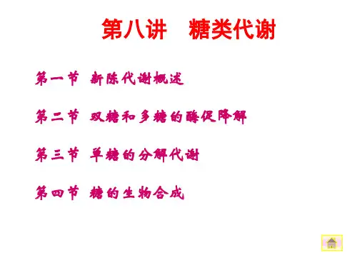 生物化学糖类代谢 PPT资料共63页