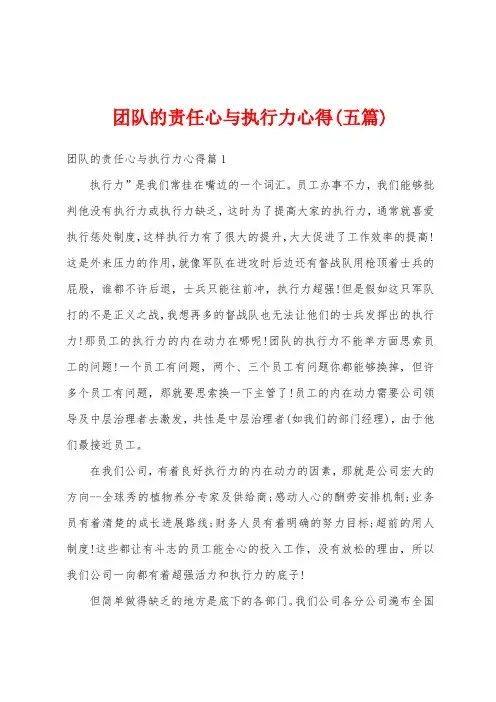 团队的责任心与执行力心得(五篇)