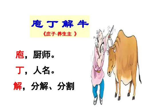 庖丁解牛精华版ppt课件