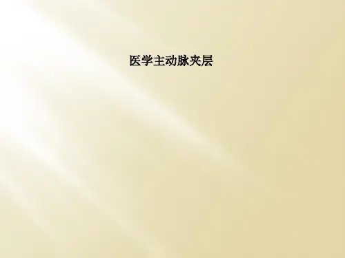 医学主动脉夹层