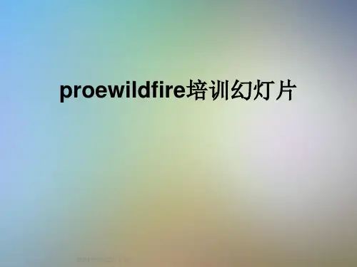 proewildfire培训幻灯片