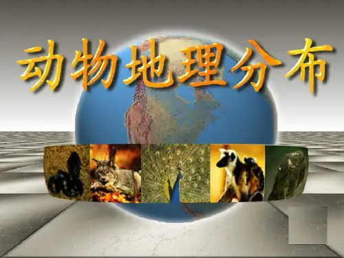 《动物地理分布》PPT课件