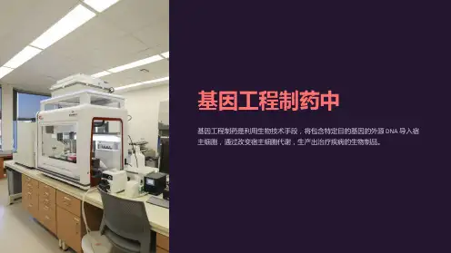 基因工程制药中