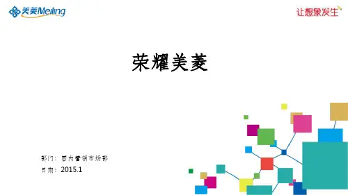 《美菱企业史》PPT课件
