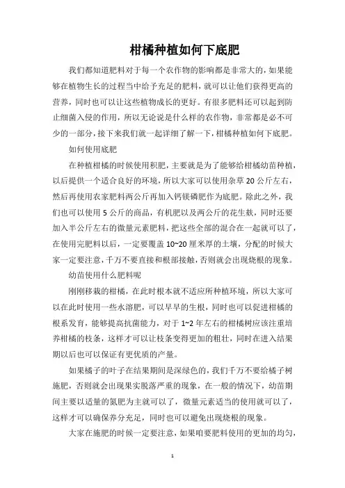 柑橘种植如何下底肥