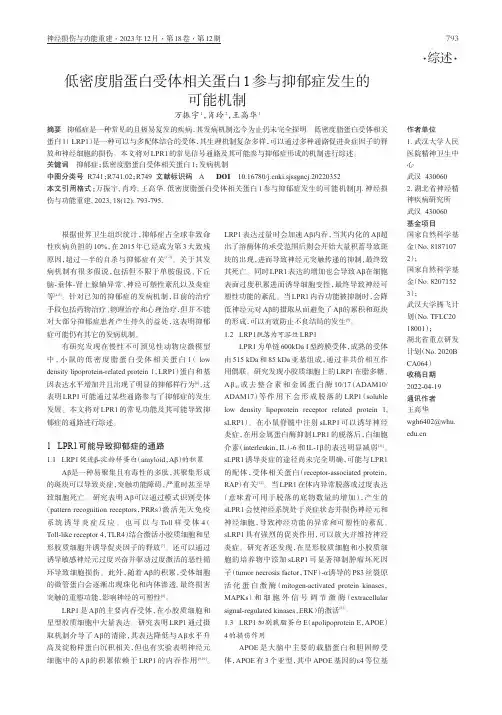 低密度脂蛋白受体相关蛋白1参与抑郁症发生的可能机制