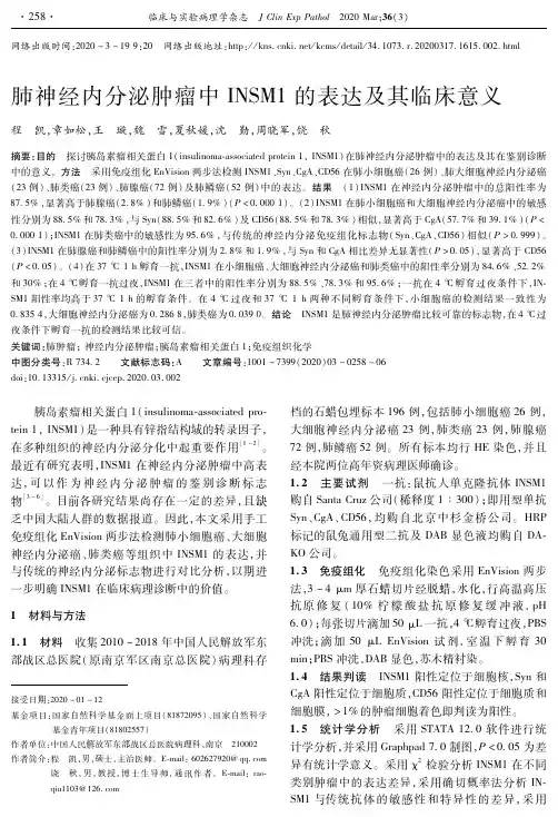 肺神经内分泌肿瘤中insm1的表达及其临床意义