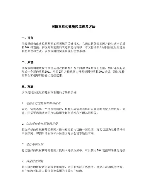 同源重组构建质粒原理及方法