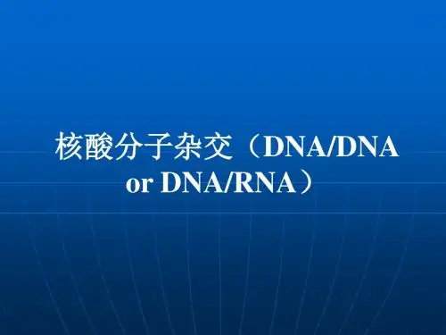 第五章核酸分子杂交技术