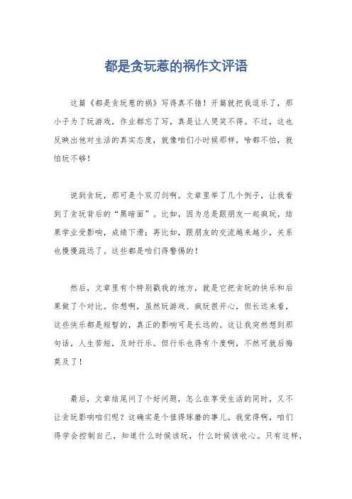 都是贪玩惹的祸作文评语