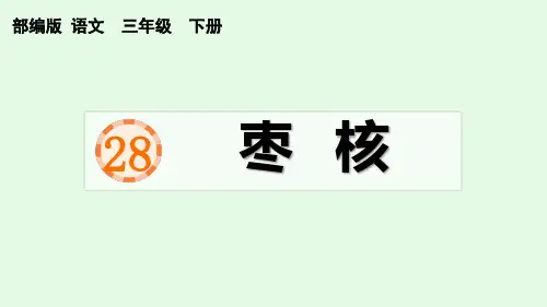 28 枣核 部编版三年级语文下册 优质教学课件PPT