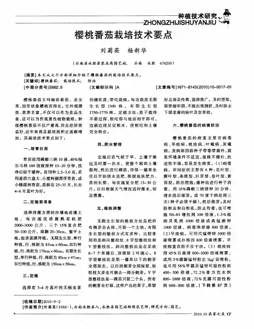 樱桃番茄栽培技术要点