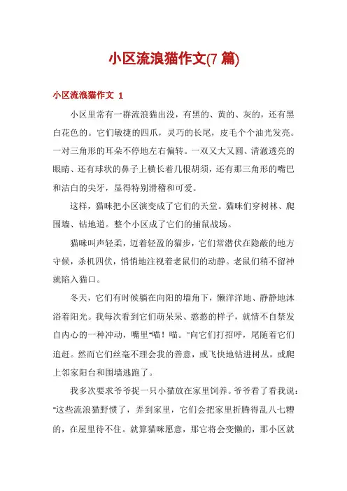 小区流浪猫作文(7篇)