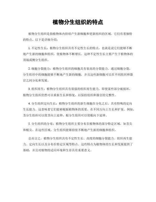 植物分生组织的特点