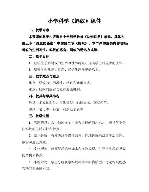 小学科学《蚂蚁》课件