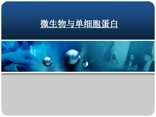 微生物与单细胞蛋白