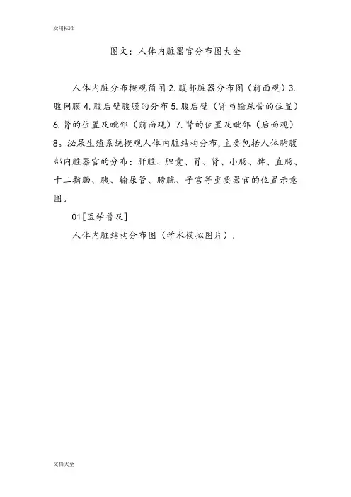 图文人体内脏器官分布图大全