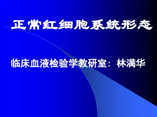 正常红细胞形态检查
