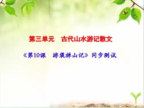 《第10课 游褒禅山记》同步测试卷(含答案)