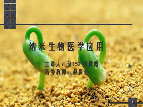 纳米生物医学应用PPT幻灯片PPT