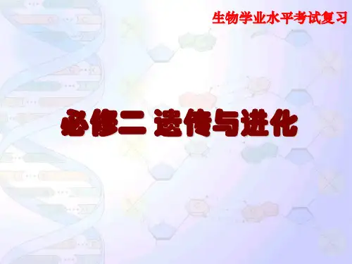 高中化学必修2《遗传与进化》学考复习全套课件