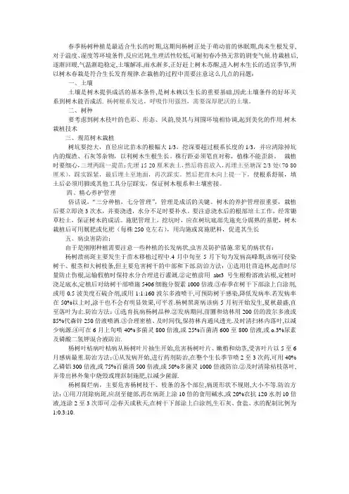 春季杨树种植是最适合生长的时期