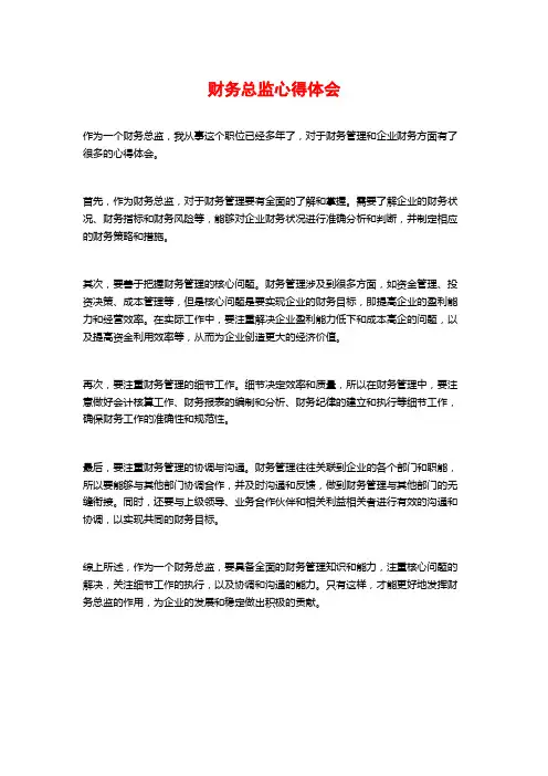 财务总监心得体会