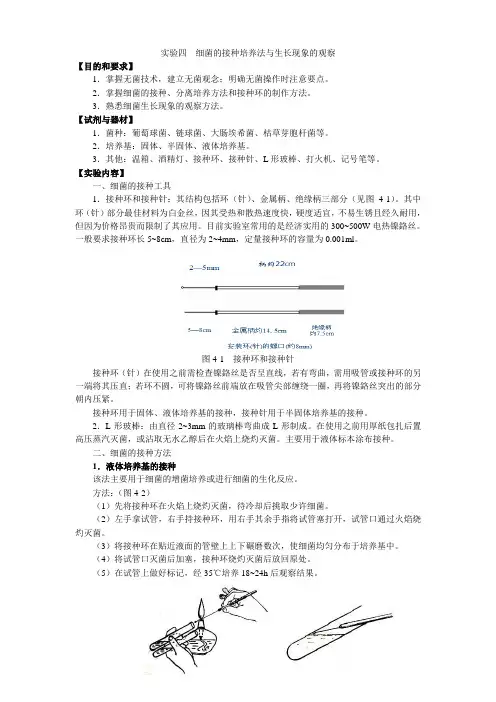 实验四++细菌的接种培养法与生长现象的观察