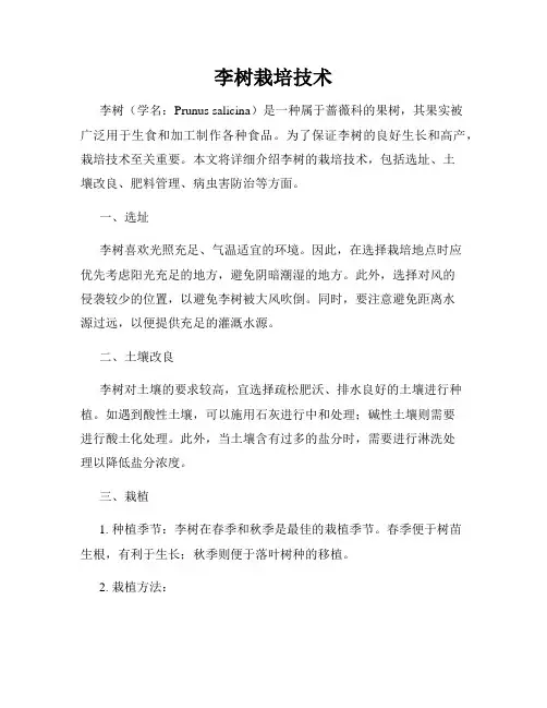 李树栽培技术