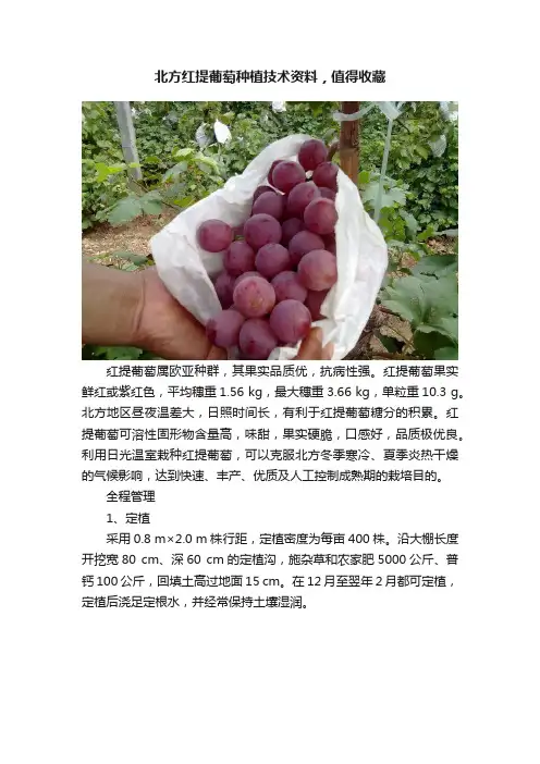 北方红提葡萄种植技术资料，值得收藏