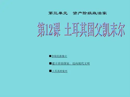 争取民族独立(共53张PPT)