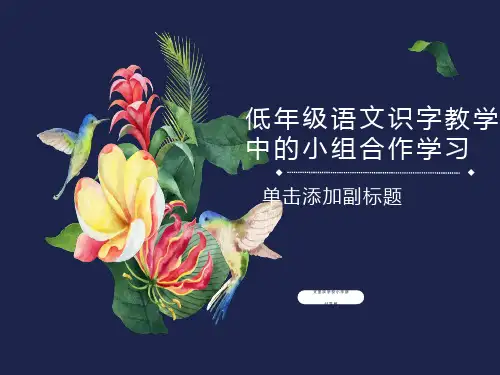 识字教学讲座PPT课件