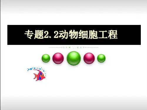 高中生物2.2.1动物细胞工程课件新人教版选修2