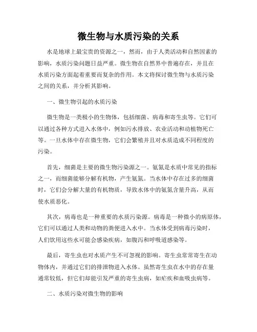 微生物与水质污染的关系
