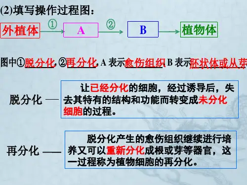 一轮复习细胞工程专题