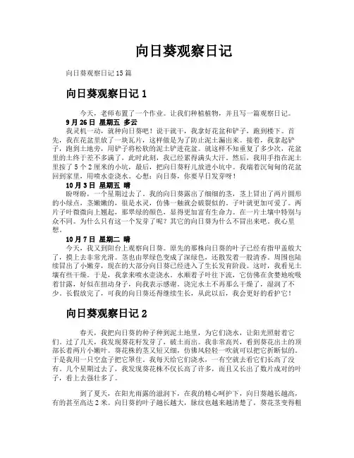 向日葵观察日记