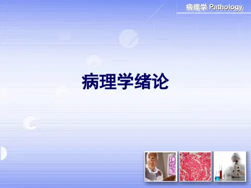 病理学绪论