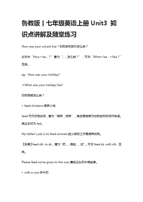 鲁教版丨七年级英语上册Unit3 知识点讲解及随堂练习